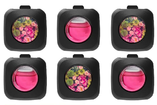 Car Air Freshener, New Car Scent Air Freshener Clip – 6 Vent Clips, 4ml Each, Delivering Extended Car Refreshment and Efficient Odor Elimination for Up to 150 Days. (The Blessing Flora)