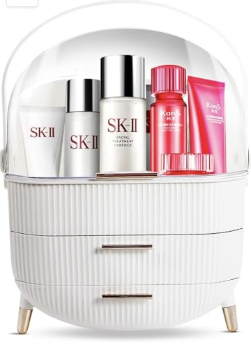 DailyTrade Makeup bag Storage Box, Countertop Portable Vanity Cosmetics MAKE UP bathroom organizers and Storage Cosmetics Organizer Box for Countertop & Drawers Skincare Organizers