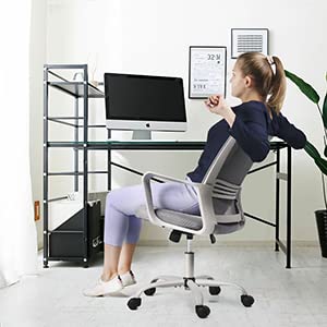 SMUG Office Chair Ergonomic Office Chair